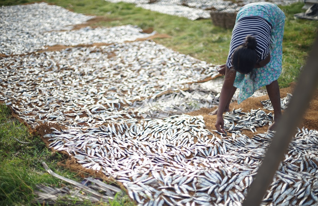 A woman bending over a pile of dead fish